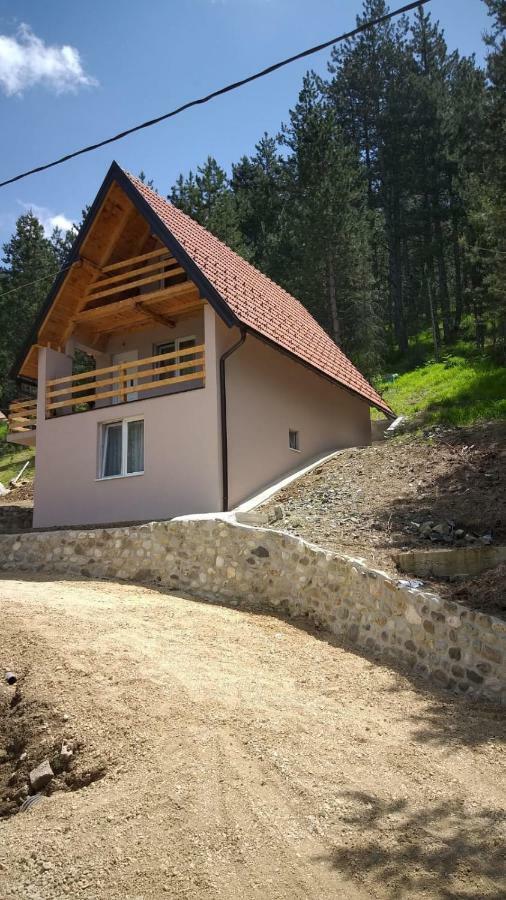 Vila Daniela Zaovine Buitenkant foto